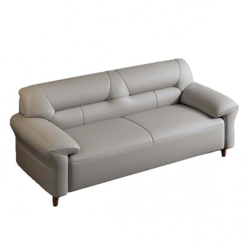 AFPSDLFJDLS Nordic Leather Living Room Suitable for Home Office Furniture Sofa