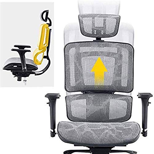 High-Back Ergonomic Executive Chair